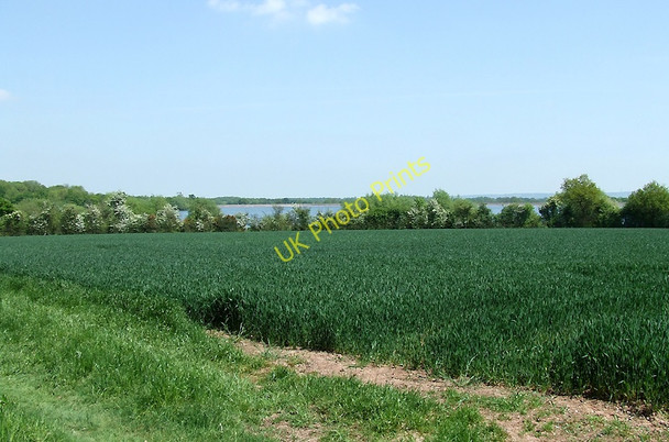 Photo 6"x4" Cereal crop field and Belvide Reservoir, Staffordshire Coldham\/SJ8508 c2010