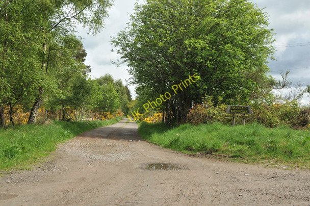 Photo 6"x4" Farm road to Balvraid Farmhouse Westhill\/NH7144 c2010