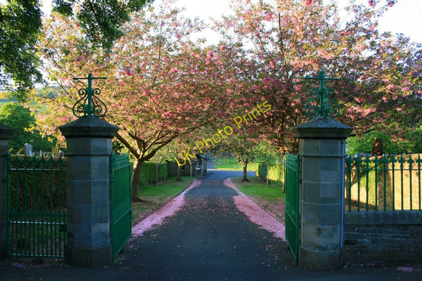 Photo 6"x4" Entrance to Eastlands Cemetery Galashiels c2010