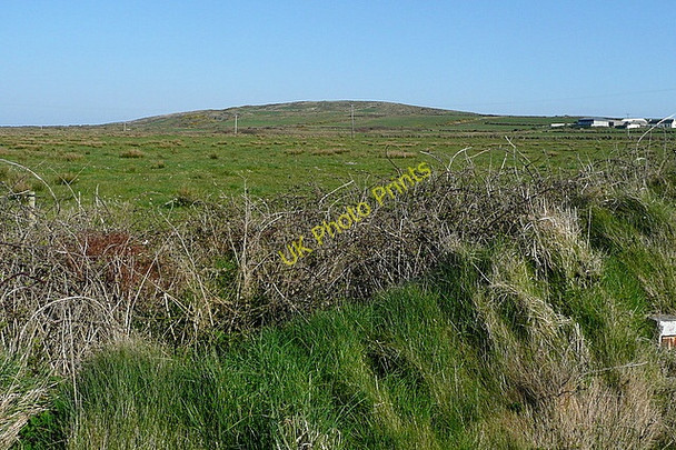 Photo 6"x4" Rough grazing at Rehy West Cross\/Q7951 c2010