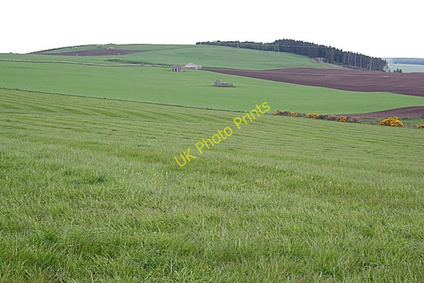 Photo 6"x4" Looking towards Carmont Hill Kirktown of Fetteresso c2010