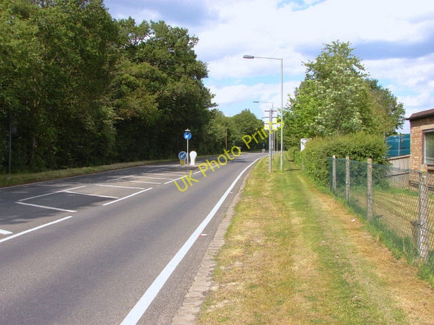Photo 6"x4" Chobham Road Stonehill\/TQ0063 c2010