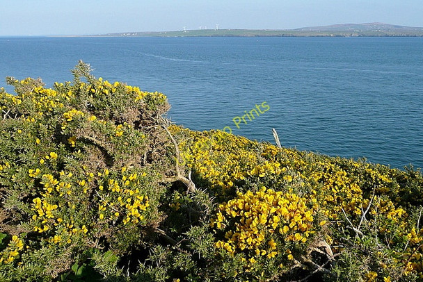 Photo 6"x4" Coast at Kilcredaun Carrigaholt c2010