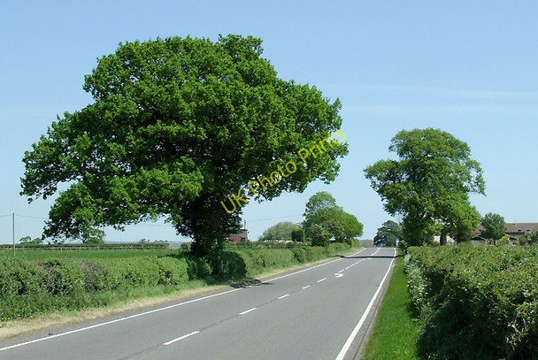 Photo 6"x4" Watling Street near Belvide Reservoir, Staffordshire Shutt Green c2010