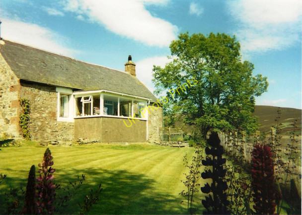 Photo 6"x4" Garden at Shallgreen Dykehead\/NO3860 c2003
