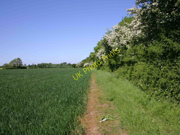 Photo 6"x4" Footpath to Berryfields Lane from Ilmington Ilmington c2010
