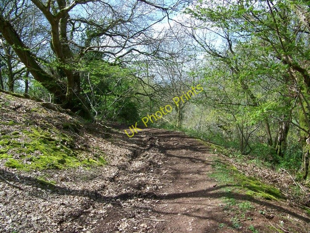 Photo 6"x4" Footpath, Triscombe Triscombe c2010 P1