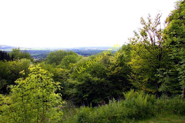 Photo 6"x4" Wendover Woods Wendover c2010