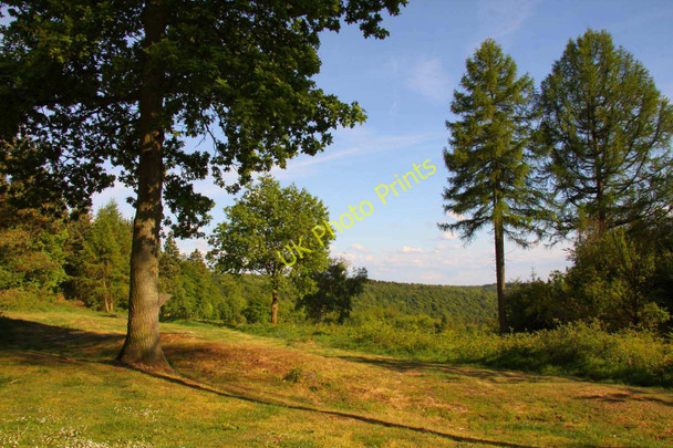 Photo 6"x4" Clear ground in Wendover Woods Wendover c2010