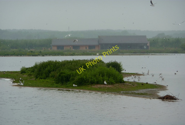 Photo 6"x4" Island in the lake Bolham\/SK7082 c2010