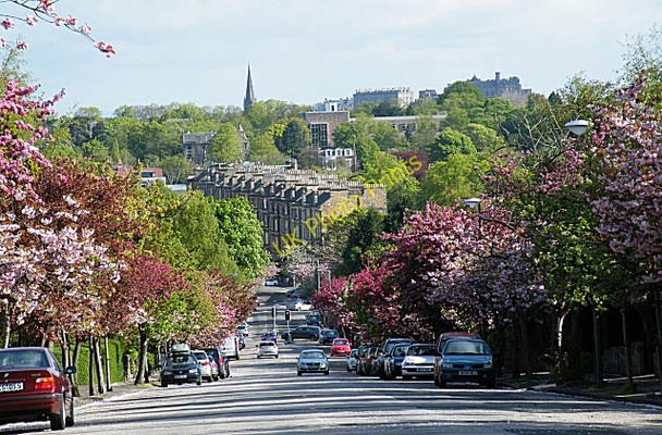 Photo 6"x4" Braid Avenue Morningside\/NT2471 c2010