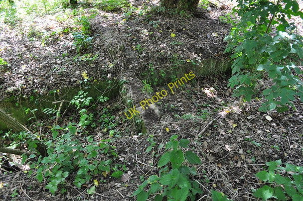 Photo 6"x4" Halesworth Engine Pit Broadway\/TM3978 c2010