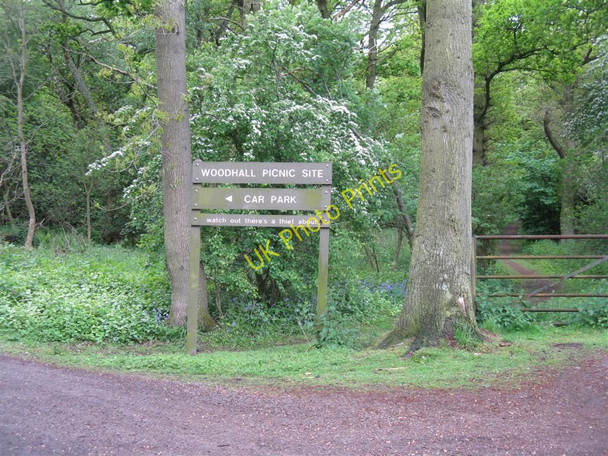Photo 6"x4" Woodhall Picnic Site Ormiston\/NT4169 c2010