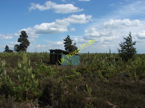 Photo 6"x4" Ash Ranges Mytchett Place c2010