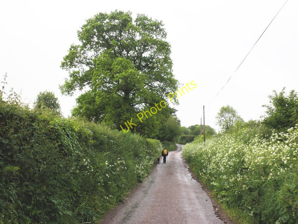 Photo 6"x4" Road to Thurlescombe Cross Manley\/SS9811 c2010