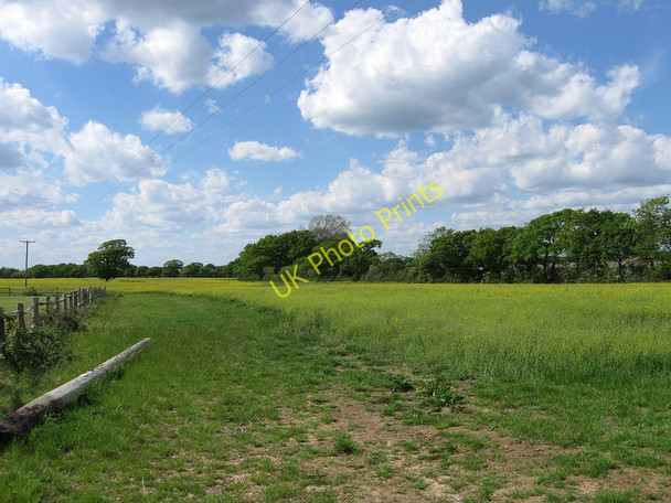 Photo 6"x4" The Meadow Ripe c2010
