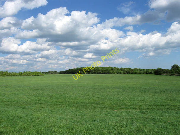 Photo 6"x4" The Furze Field Broomham\/TQ5212 c2010
