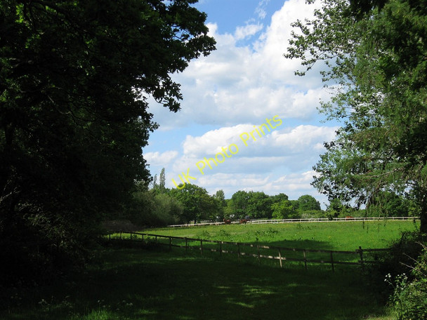 Photo 6"x4" The Four Acres Broomham\/TQ5212 c2010