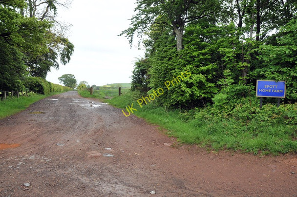 Photo 6"x4" Farm road to Spott Home Farm Spott\/NT6775 c2010