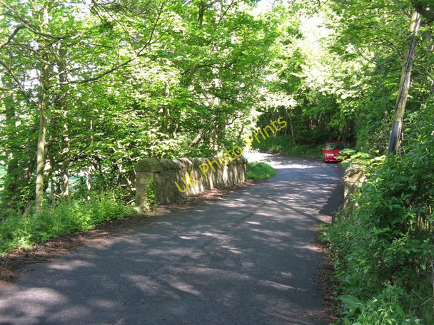 Photo 6"x4" Bridge at Stretchendean Crichton c2010