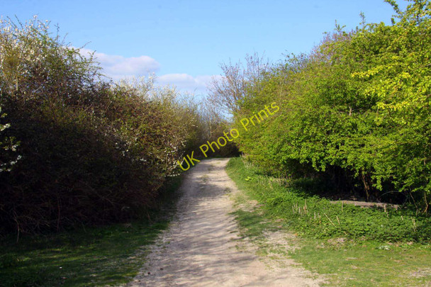 Photo 6"x4" The Ridgeway Shirburn c2010