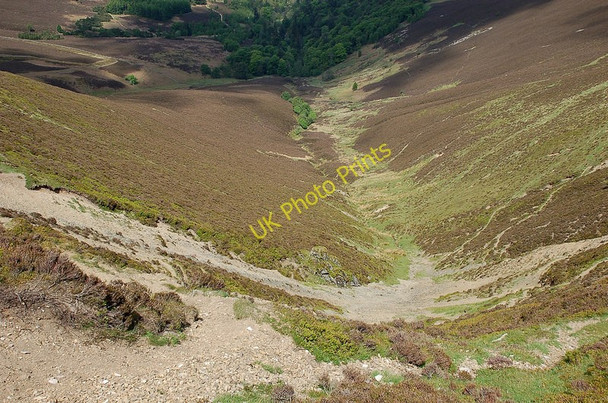 Photo 6"x4" Source of the Scrape Burn Bellspool c2010