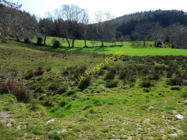 Photo 6"x4" Looking towards part of the Ohio Plantation Sulby\/SC3894 c2010