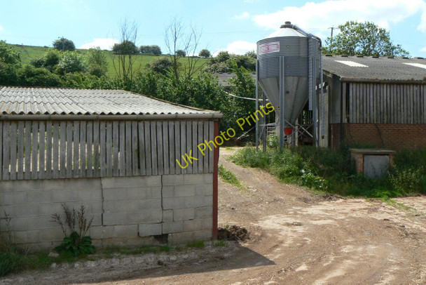 Photo 6"x4" The Pig Farm Barton in Fabis c2010