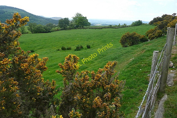 Photo 6"x4" Farmland north of Ty-uchaf Pont-ar-llechau c2010
