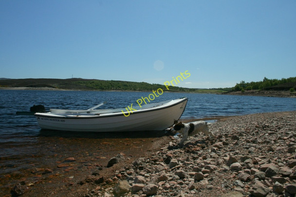Photo 6"x4" Towards the southerly shores of Loch Shin Gruids c2010