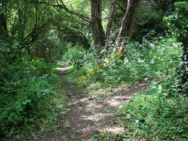 Photo 6"x4" Path along railway embankment Little Dunham c2010