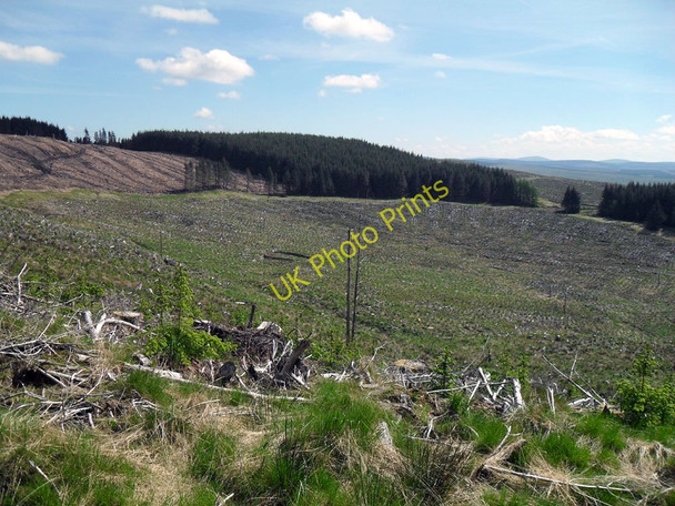 Photo 6"x4" The White Hole Davington\/NT2302 c2010