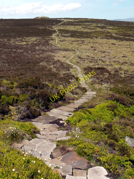 Photo 6"x4" New flagged path to Simonside summit Great Tosson c2010