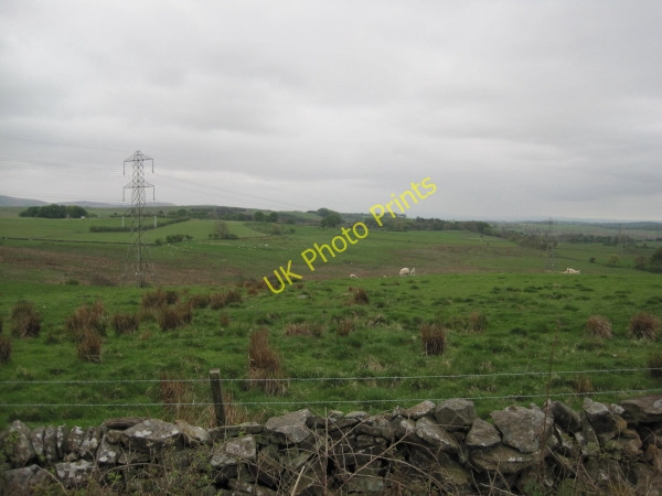 Photo 6"x4" Rough Pasture above Birch Craig Low Row\/NY5863 c2010