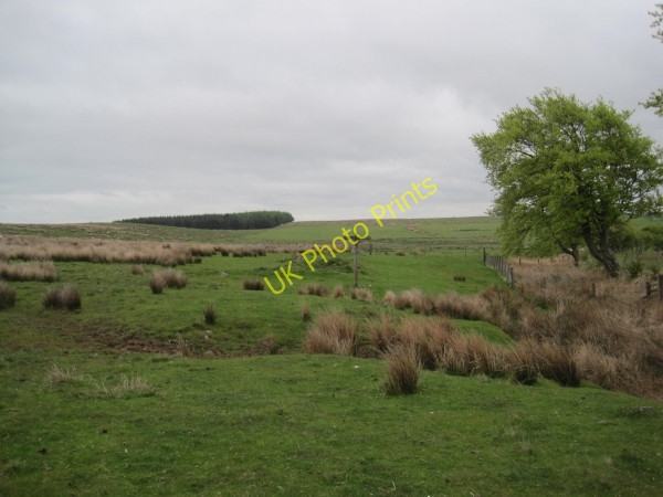 Photo 6"x4" Bridleway towards Stoop Rigg Tindale c2010