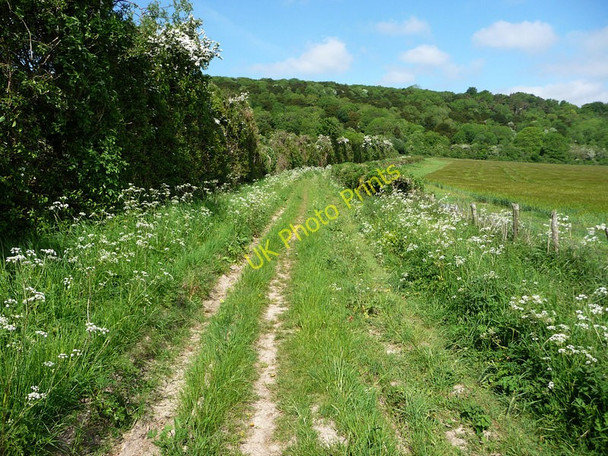 Photo 6"x4" Track near Brickkiln Farm Chilgrove c2010