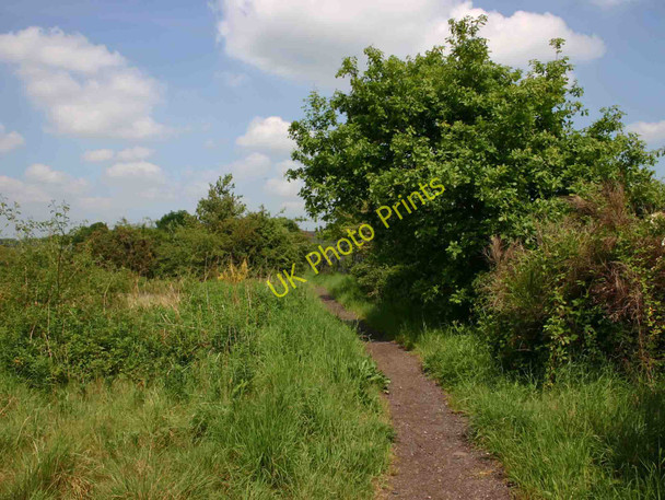 Photo 6"x4" Centenary Way footpath to Ryton-on-Dunsmore Ryton-on-Dunsmore c2010