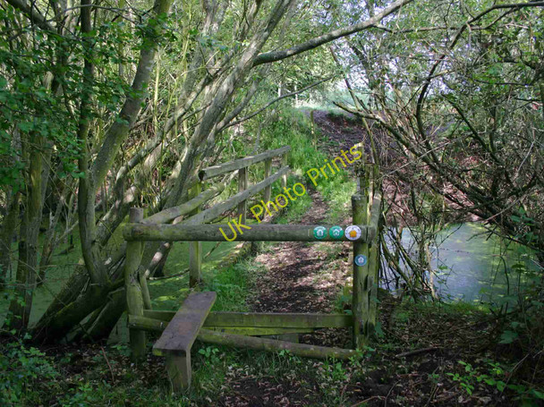Photo 6"x4" Small bridge over pond on Centenary Way Bubbenhall c2010