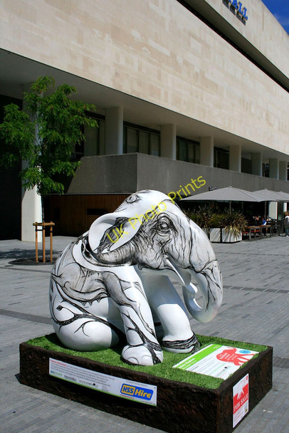 Photo 6"x4" Seated Elephant London c2010