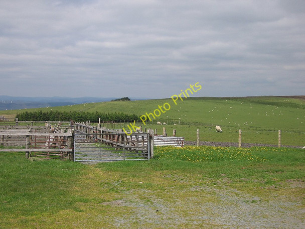 Photo 6"x4" Sheepfold on Esgair Wen Dylife c2010