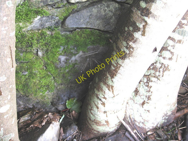 Photo 6"x4" Benchmark on wall beside A684 High Oaks\/SD6291 c2009