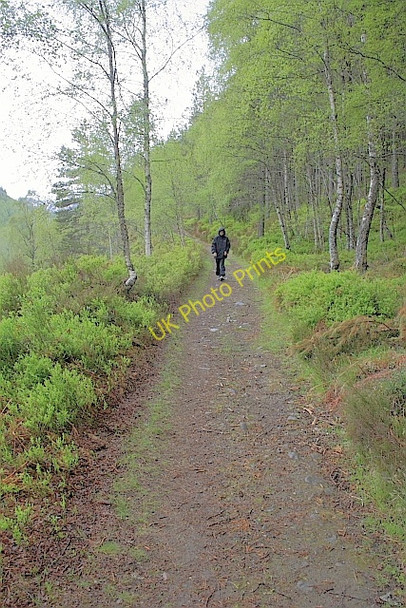 Photo 6"x4" Track Alongside the Allt na Bogair Allt na Bogair c2010