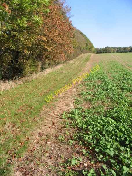 Photo 6"x4" Field boundary, looking E towards the A256 Betteshanger c2007