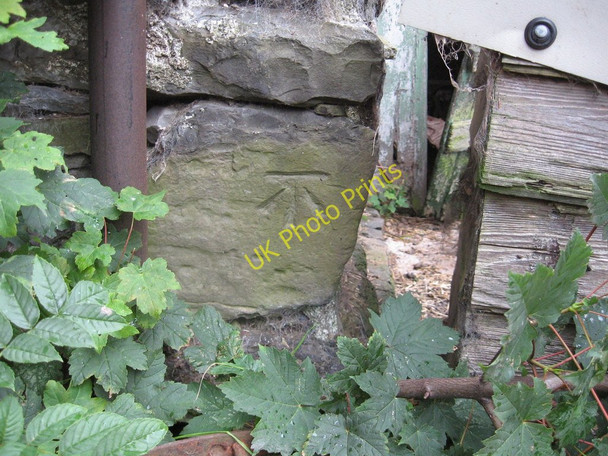 Photo 6"x4" Newfield Farm barn High Oaks\/SD6291 c2009