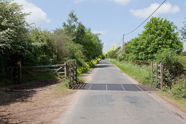 Photo 6"x4" Braggers Lane, Thorney Hill Thorney Hill\/SZ2099 c2010