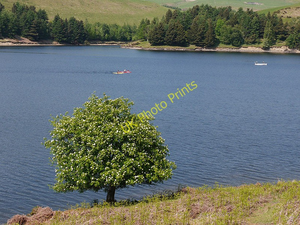 Photo 6"x4" Llyn Clywedog Braichyfedw c2010