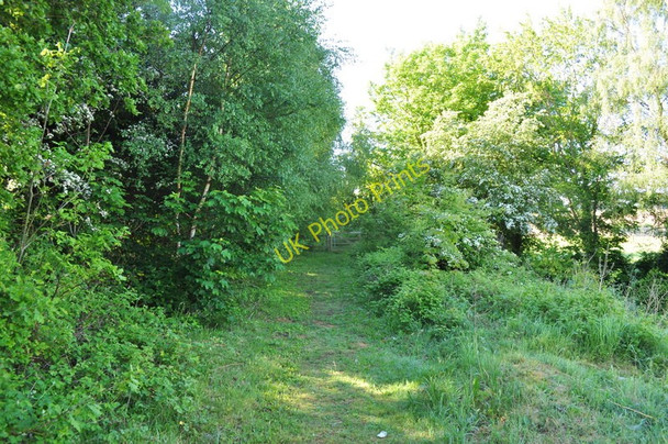 Photo 6"x4" Trackbed Walk Broom Green c2010