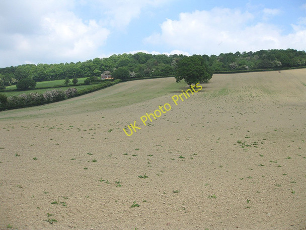 Photo 6"x4" Hillside farming, Marcle Hill Woolhope\/SO6135 c2010
