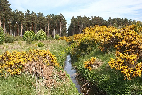 Photo 6"x4" Millie Burn College of Roseisle c2010