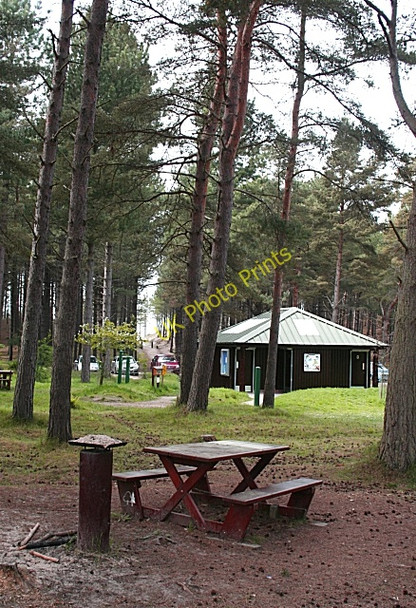 Photo 6"x4" Roseisle Picnic Site Coltfield c2010